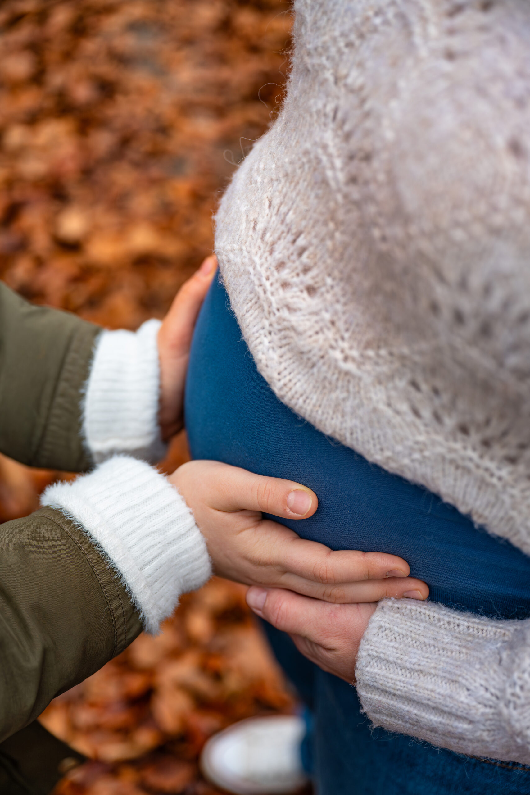 ALB_5950-Avec accentuation-Bruit-Modifier