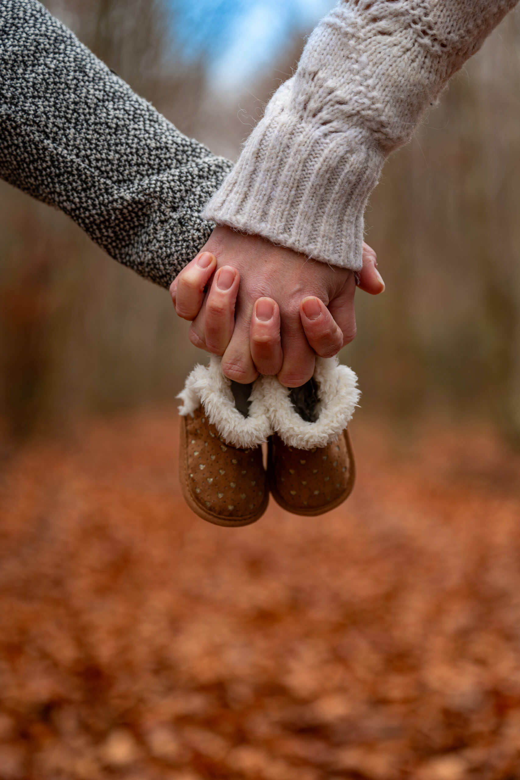 ALB_5958-Avec accentuation-Bruit