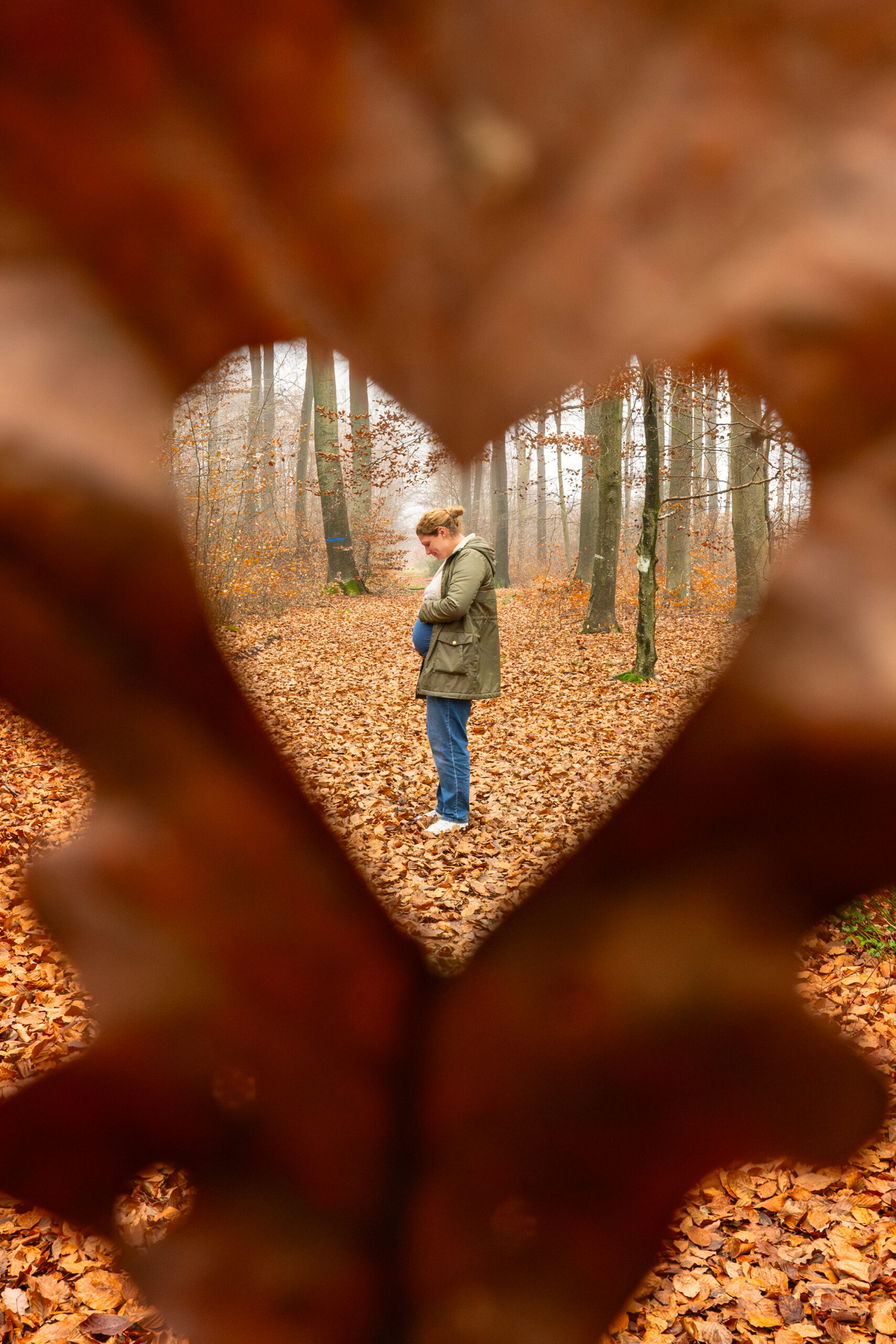 ALB_6126-Avec accentuation-Bruit-2